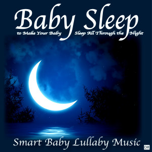 Smart Baby Lullaby Music的專輯Baby Sleep