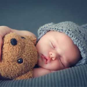 Listen to Dream Birds song with lyrics from Nature Sounds Baby Sleep