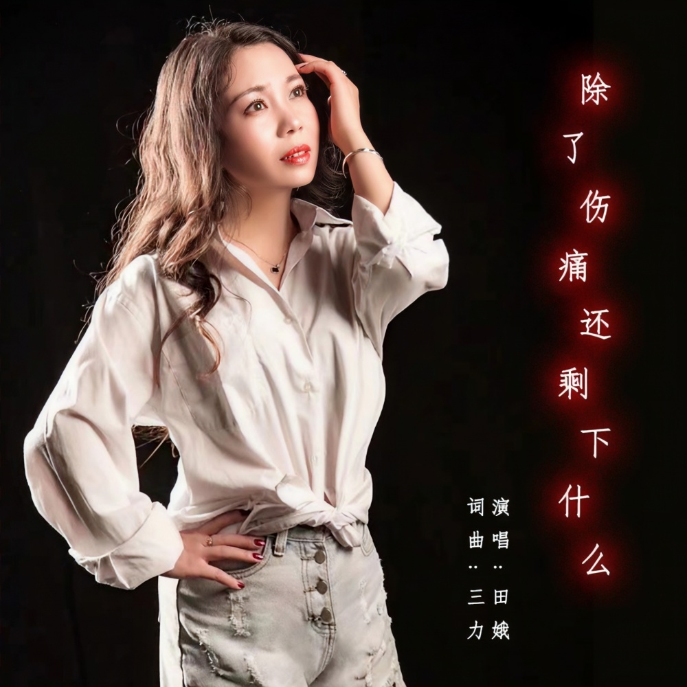 除了伤痛还剩下什么 (dj伴奏)