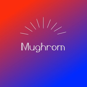 Listen to Mughrom song with lyrics from ksnMn