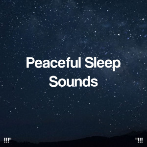 Sleep Sound Library的專輯"!!! Peaceful Sleep Sounds !!!"