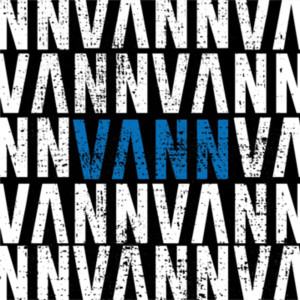收聽VANN的Why Did You Do It歌詞歌曲