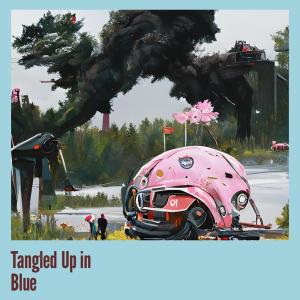 ดาวน์โหลดและฟังเพลง Tangled Up in Blue พร้อมเนื้อเพลงจาก Mary Jackson
