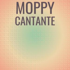 Listen to Moppy Cantante song with lyrics from Liam Niman