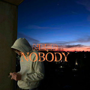 Listen to Need Nobody (Explicit) song with lyrics from BabyT