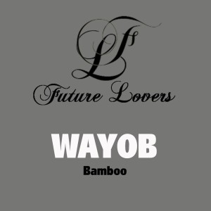 Listen to Spin song with lyrics from Wayob
