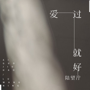 Album 爱过就好 from 陆望泞