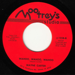 收聽Wayne Carter的Wahoo Wahoo Wahoo (Mr Scruff Edit)歌詞歌曲