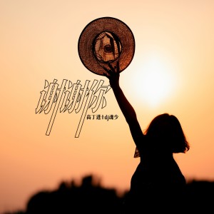 Listen to 谢谢你 song with lyrics from DJ魂少
