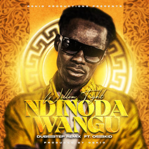 อัลบัม Ndinoda Wangu (Dubstep Remix) ศิลปิน Willom Tight