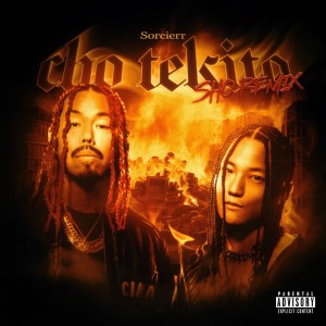 Album Cho Tekito (feat. SHO) [Remix] from Sorcierr