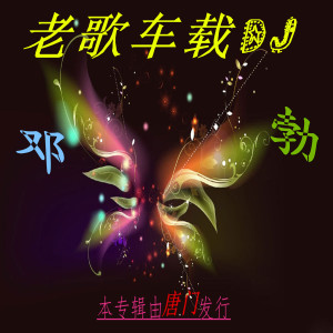 ดาวน์โหลดและฟังเพลง 无赖(车载DJ) พร้อมเนื้อเพลงจาก 邓勃