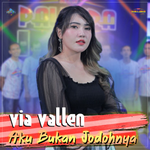 Listen to Aku Bukan Jodohnya song with lyrics from New Pallapa Official