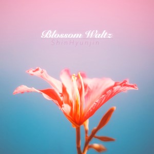 Album Blossom Waltz from Shin Hyunjin