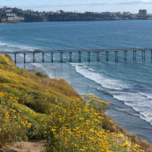 ดาวน์โหลดและฟังเพลง California Waves พร้อมเนื้อเพลงจาก Enoki