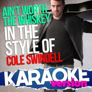 อัลบัม Ain't Worth the Whiskey (In the Style of Cole Swindell) [Karaoke Version] - Single ศิลปิน Ameritz Top Tracks