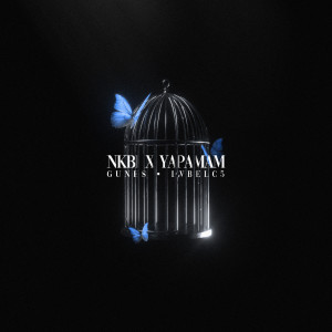 ดาวน์โหลดและฟังเพลง NKBİ X YAPAMAM (Remix) พร้อมเนื้อเพลงจาก Lvbel C5