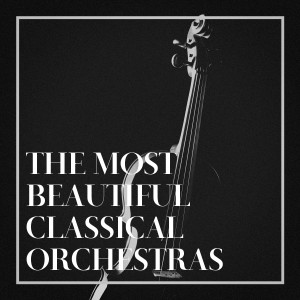 收聽Capella Istropolitana的Overture in G Minor, BWV 1070: II. Torneo歌詞歌曲