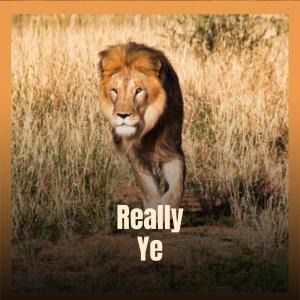 收听Chaa Shann的Really Ye歌词歌曲
