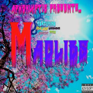 Listen to Jan6ers (feat. Blanq Beatz) (Explicit) song with lyrics from Apxcxlyptic