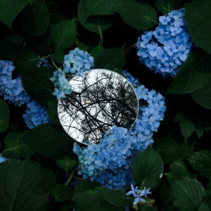 ดาวน์โหลดและฟังเพลง Sleep Music พร้อมเนื้อเพลงจาก Sleep Sound Library