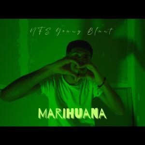 ดาวน์โหลดและฟังเพลง Marihuana (Explicit) พร้อมเนื้อเพลงจาก NFS Young Blunt