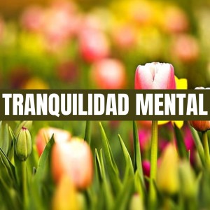 Para Relajarse的专辑TRANQUILIDAD MENTAL