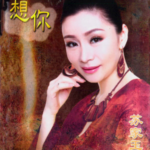 Listen to 想你 song with lyrics from 苏家玉