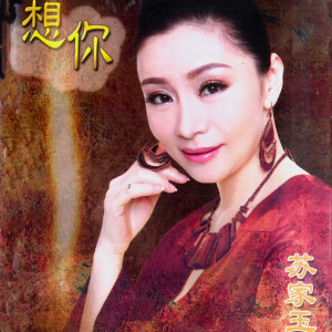 Listen to 一叶浮萍 song with lyrics from 苏家玉