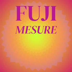 Listen to Fuji Mesure song with lyrics from Rien Zamo