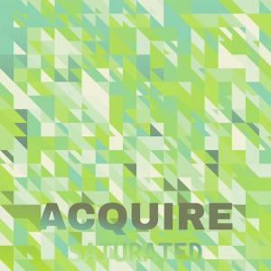 Various Artists的專輯Acquire Saturated