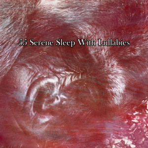 อัลบัม 55 Serene Sleep With Lullabies ศิลปิน Spa Relaxation