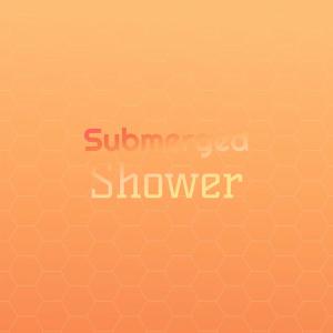 Various Artists的專輯Submerged Shower