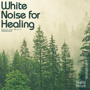 Listen to Rustling Tree Branches (ASMR, Sleep Music, Meditation Music) (ASMR|Sleep Music|Meditation Music) song with lyrics from 힐링 네이쳐 Nature Sound Band