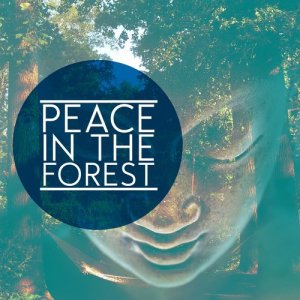 Deep Sleep Meditation的專輯Peace in the Forest