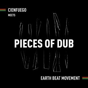 Cienfuego的專輯Pieces of Dub