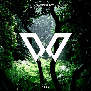 ดาวน์โหลดและฟังเพลง Feel พร้อมเนื้อเพลงจาก Saveprjct.
