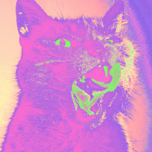 Teenanger的專輯Touching Glass