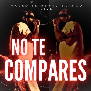 收聽maceo el perro blanco live的no te compares (live)歌詞歌曲