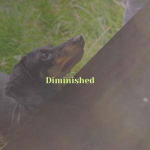 Listen to Squinched Bollix song with lyrics from Paly Delien