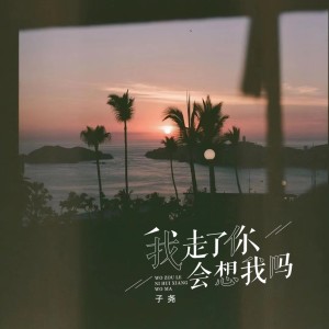 子堯（阮洪堯）的專輯我走了你會想我嗎