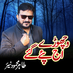 Tahir Mehmood Nayyar的專輯Vichore Ajj Pay Gaye