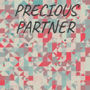 Listen to Biprism song with lyrics from Danie Cornelis
