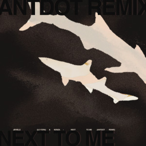收聽Jewels的Next To Me (Antdot Remix)歌詞歌曲