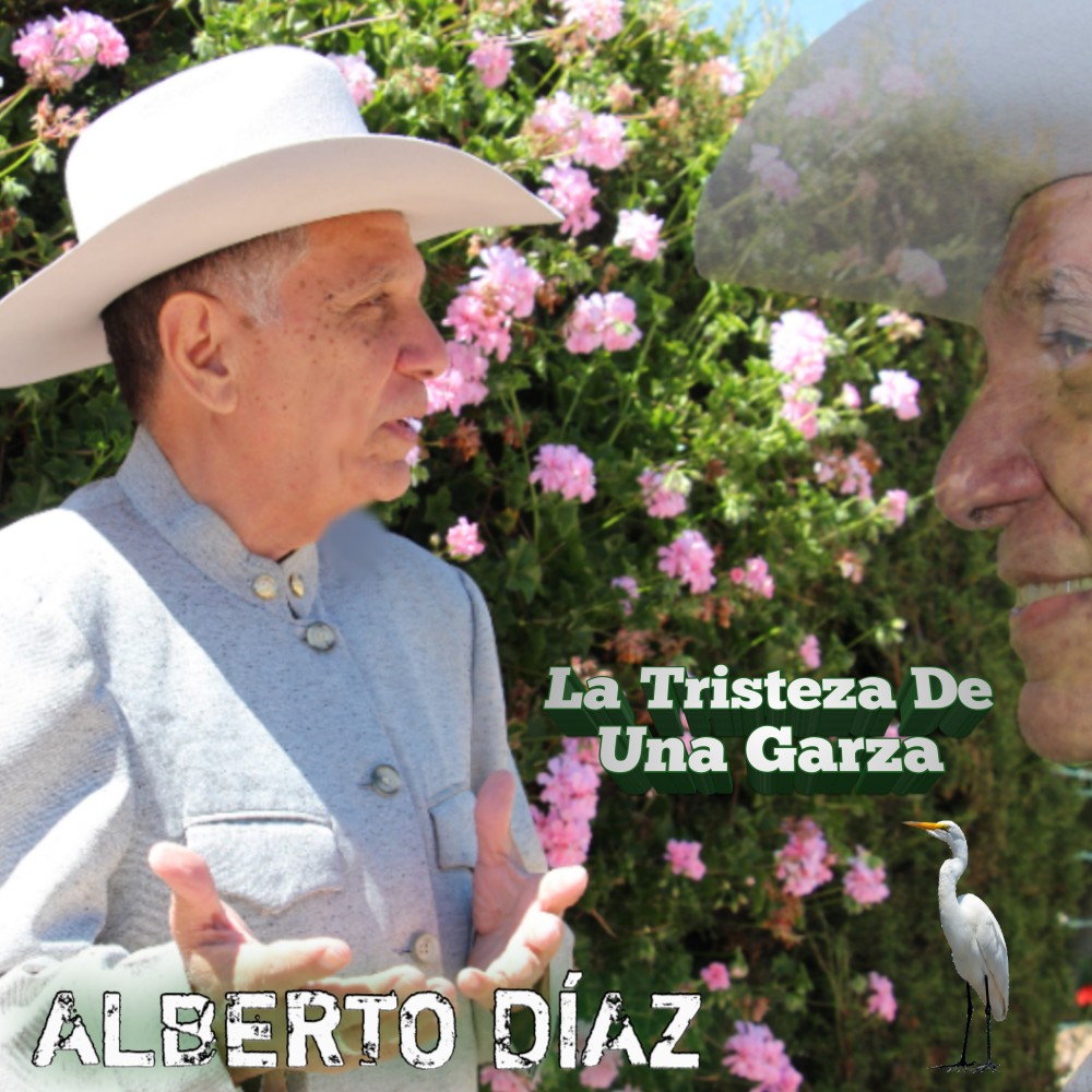 Amor Ideal