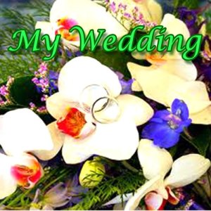 收聽Joey Oliveira的Can't Help Falling In Love With You歌詞歌曲