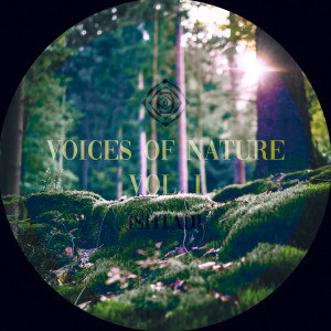 Album Voices of Nature, Vol. 1 from Ishtadi