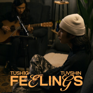 Listen to Feelings song with lyrics from TUSH1G