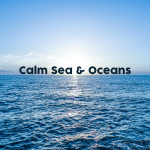 收聽Ocean Waves for Sleep的Binaural Underwater歌詞歌曲