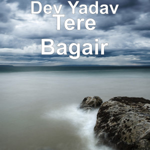 Album Tere Bagair from 